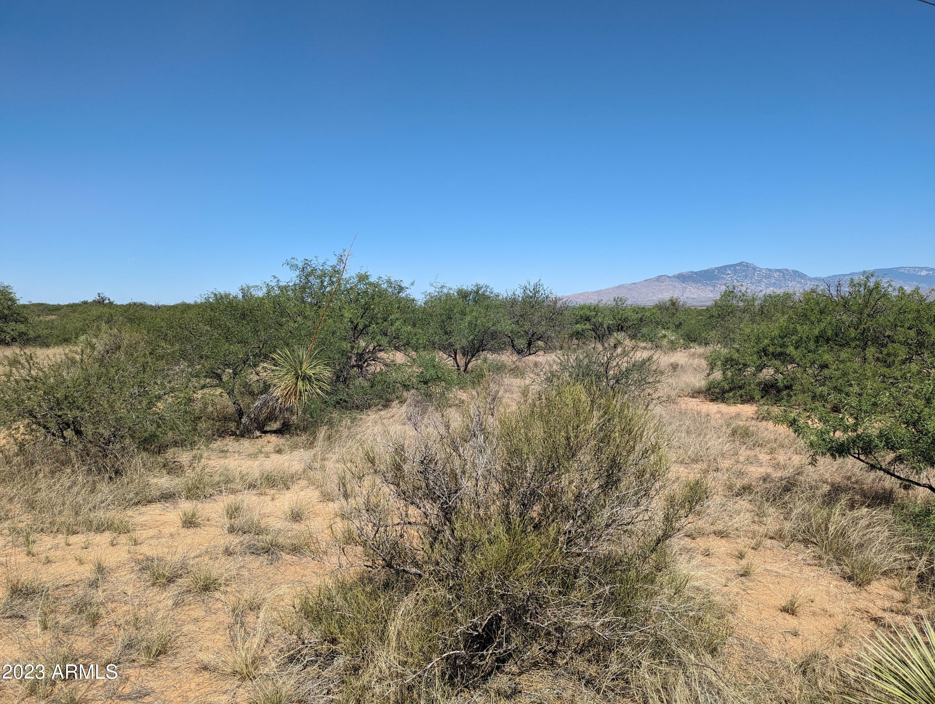 Property Photo:  Tbd N Wildcat Place  AZ 85602 