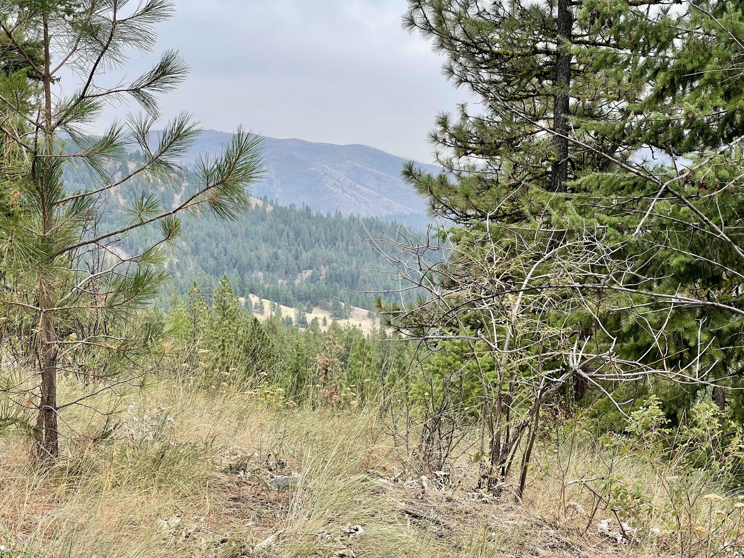 Property Photo:  6393 H Selder Rd  WA 99137 