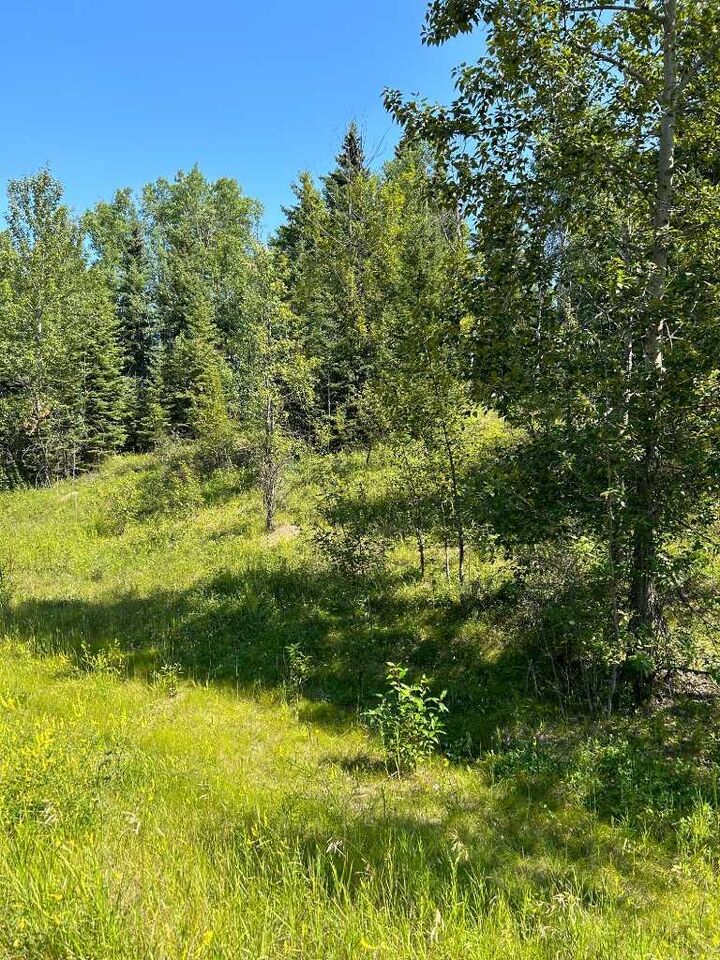 Property Photo:  Lot R3 Westridge Road  AB T7S 1P8 