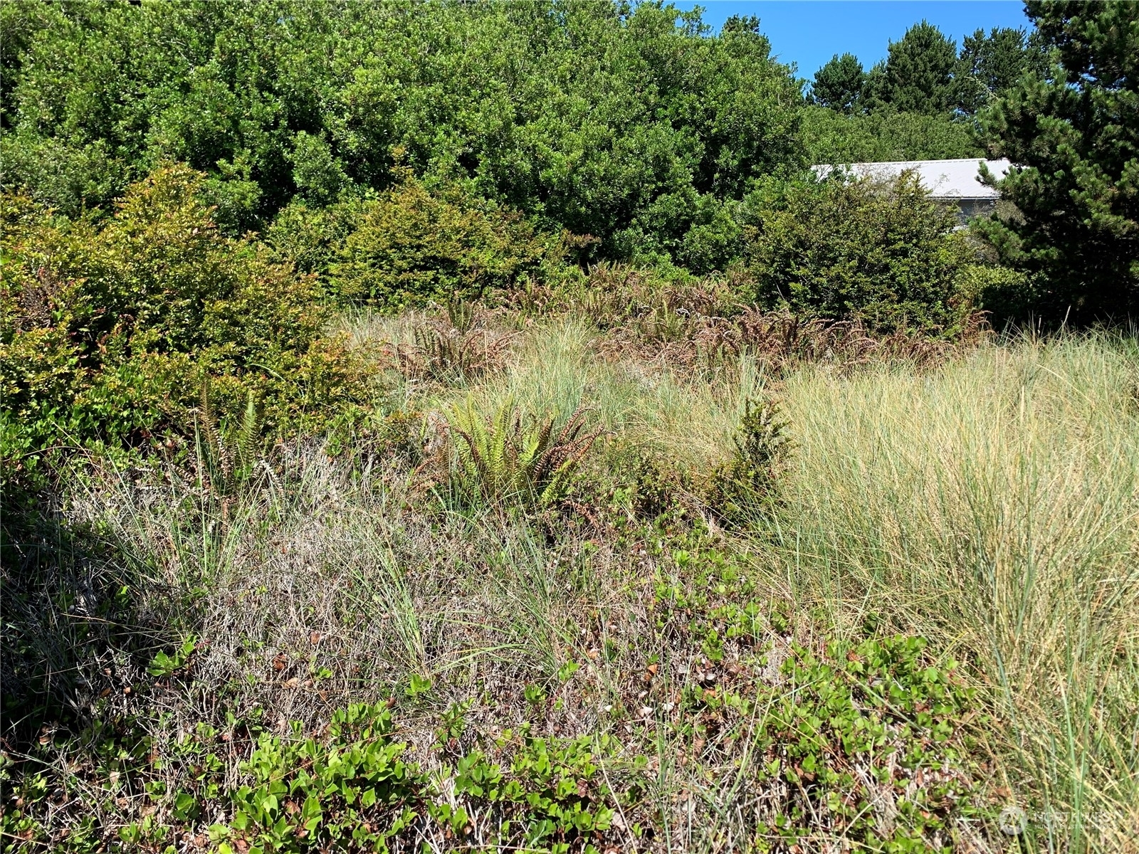 Property Photo:  122 Sand Dune Avenue SW  WA 98569 