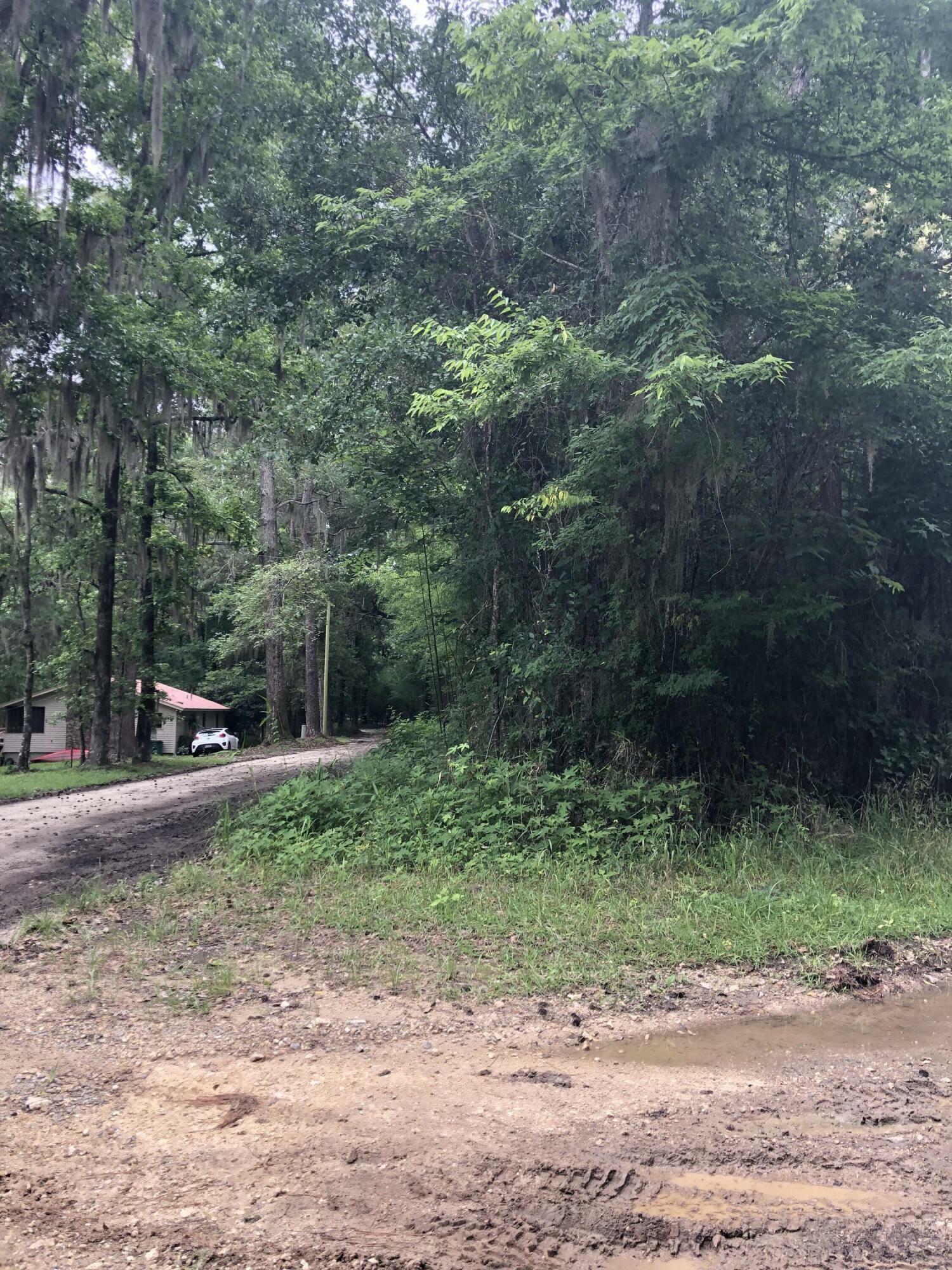 Property Photo:  Lot 1 Chessey Creek Road  SC 29488 