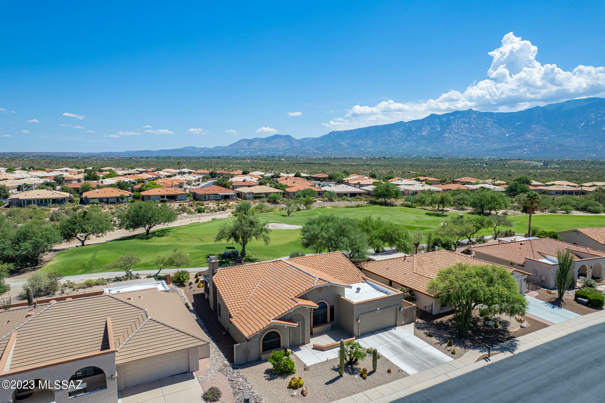 Property Photo:  14580 N Chalk Creek Drive  AZ 85755 