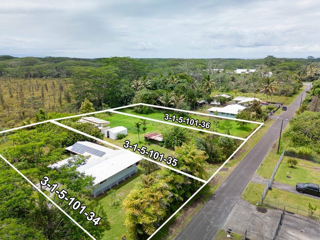 15-902 Punawai Ave  Pahoa HI 96778 photo