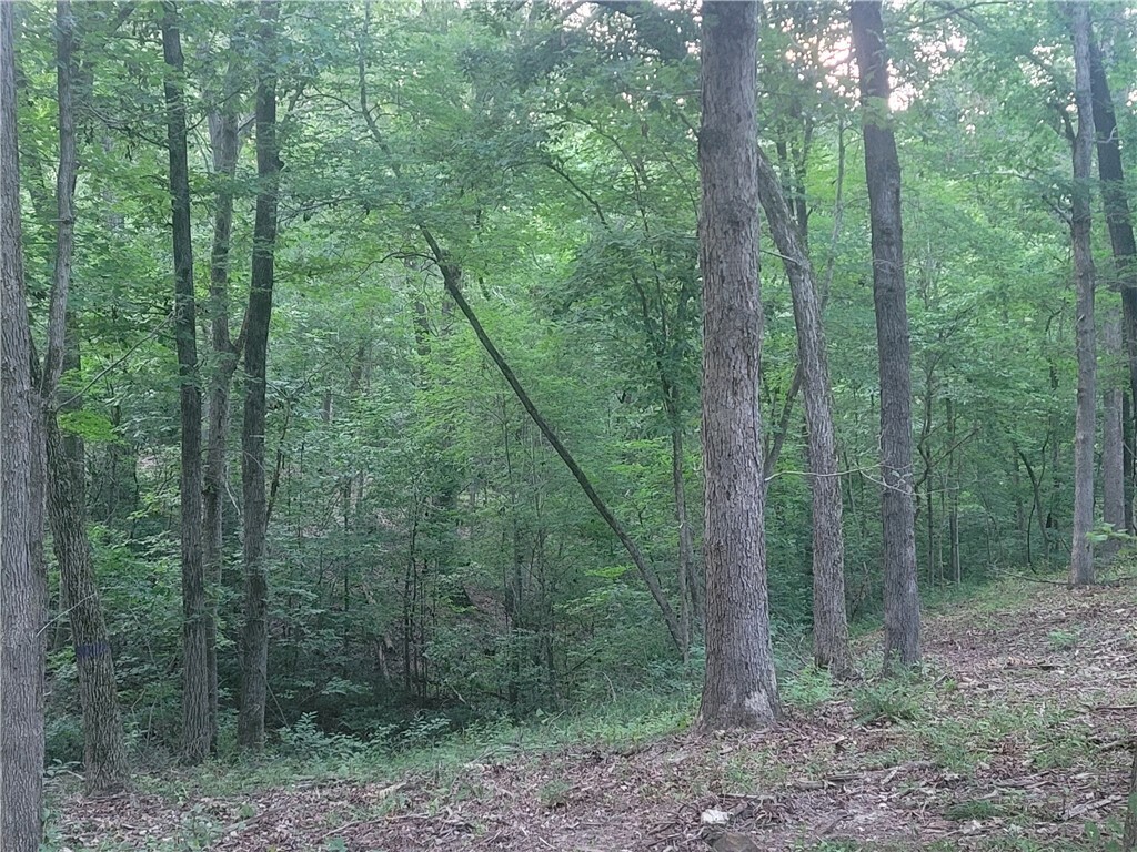 Property Photo: 5.10 Acres Fultz Road AR 72703