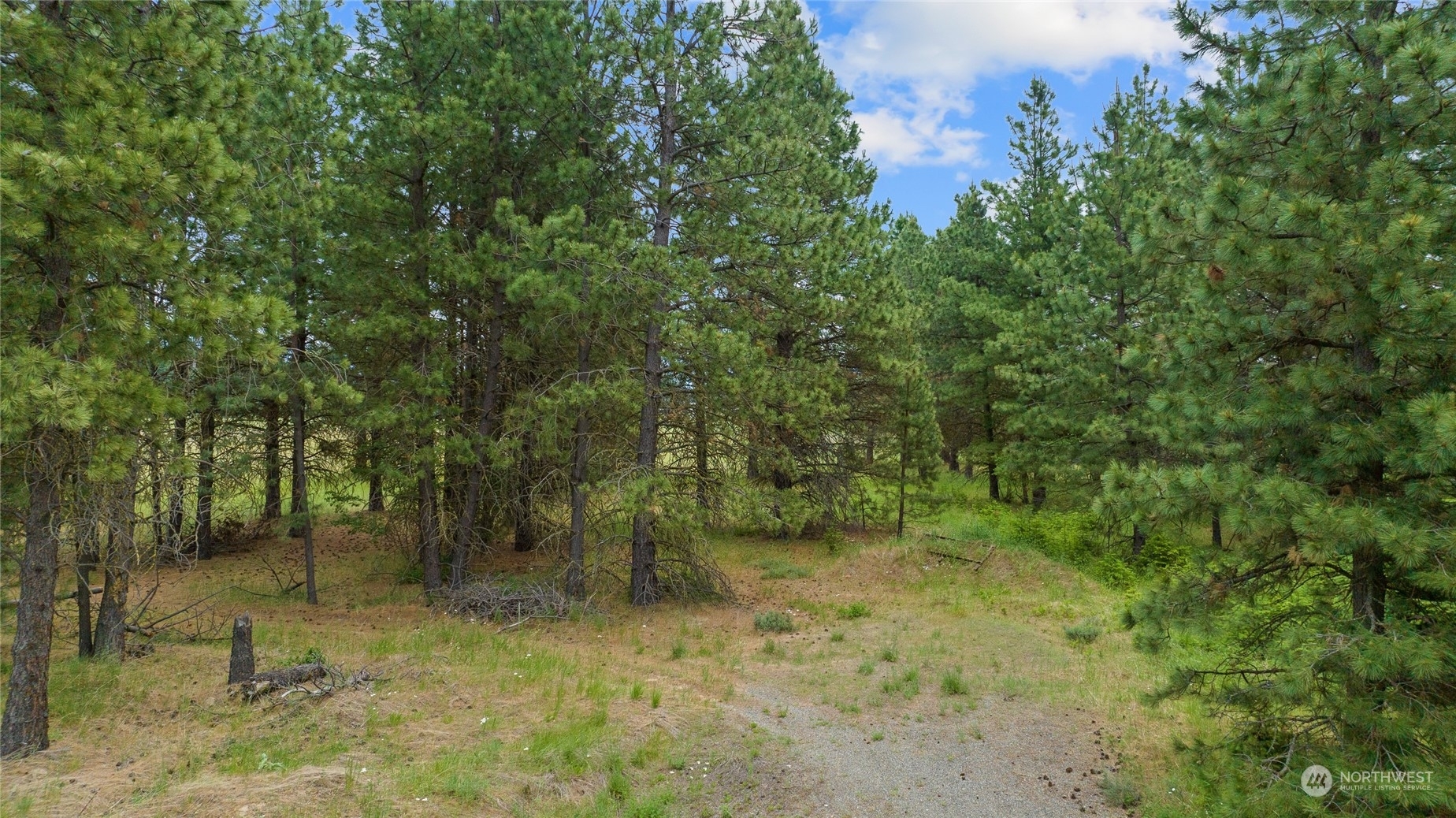 Property Photo:  0 Lot 3 Dunnagan Avenue  WA 98922 