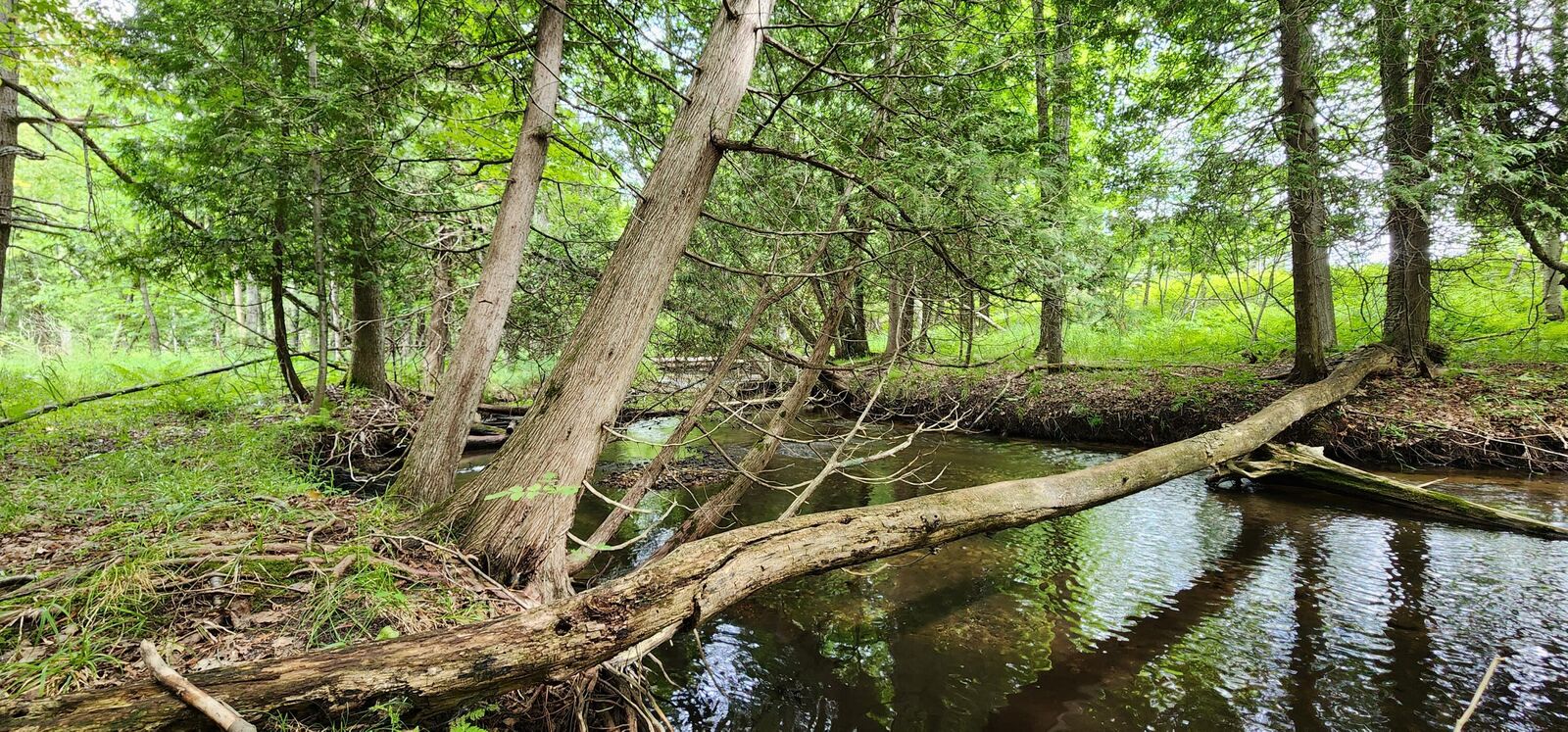 Property Photo:  25.3 Acres Oravainen Road  MI 49645 