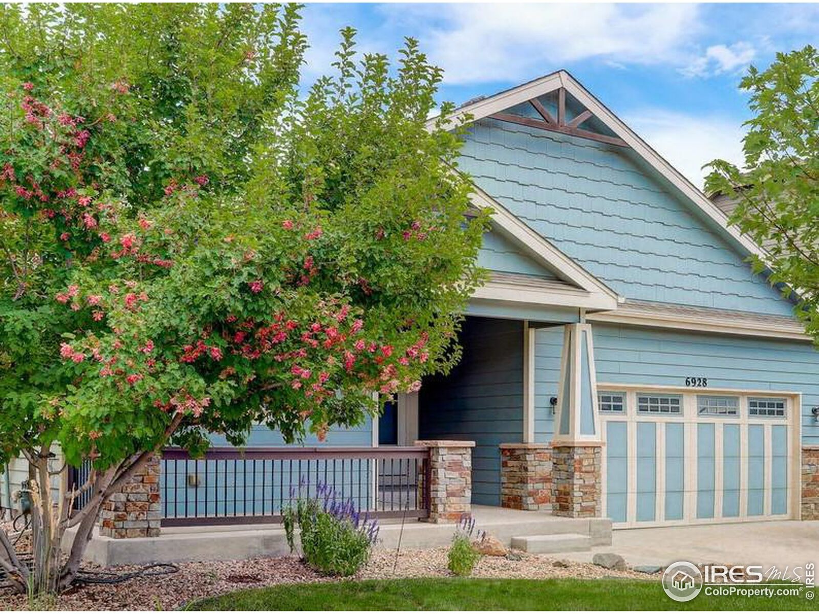Property Photo: 6928 Fireside Dr CO 80547