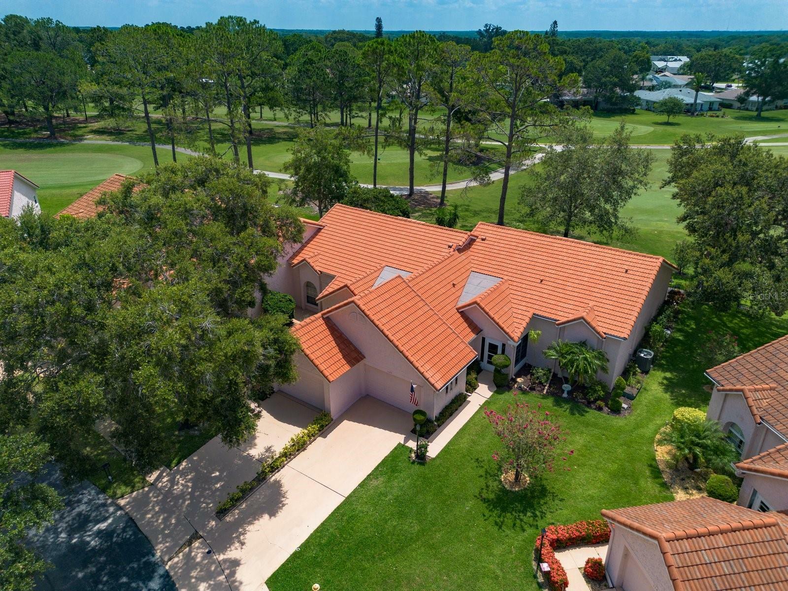 Property Photo: 1145 Woodleaf Court FL 34684