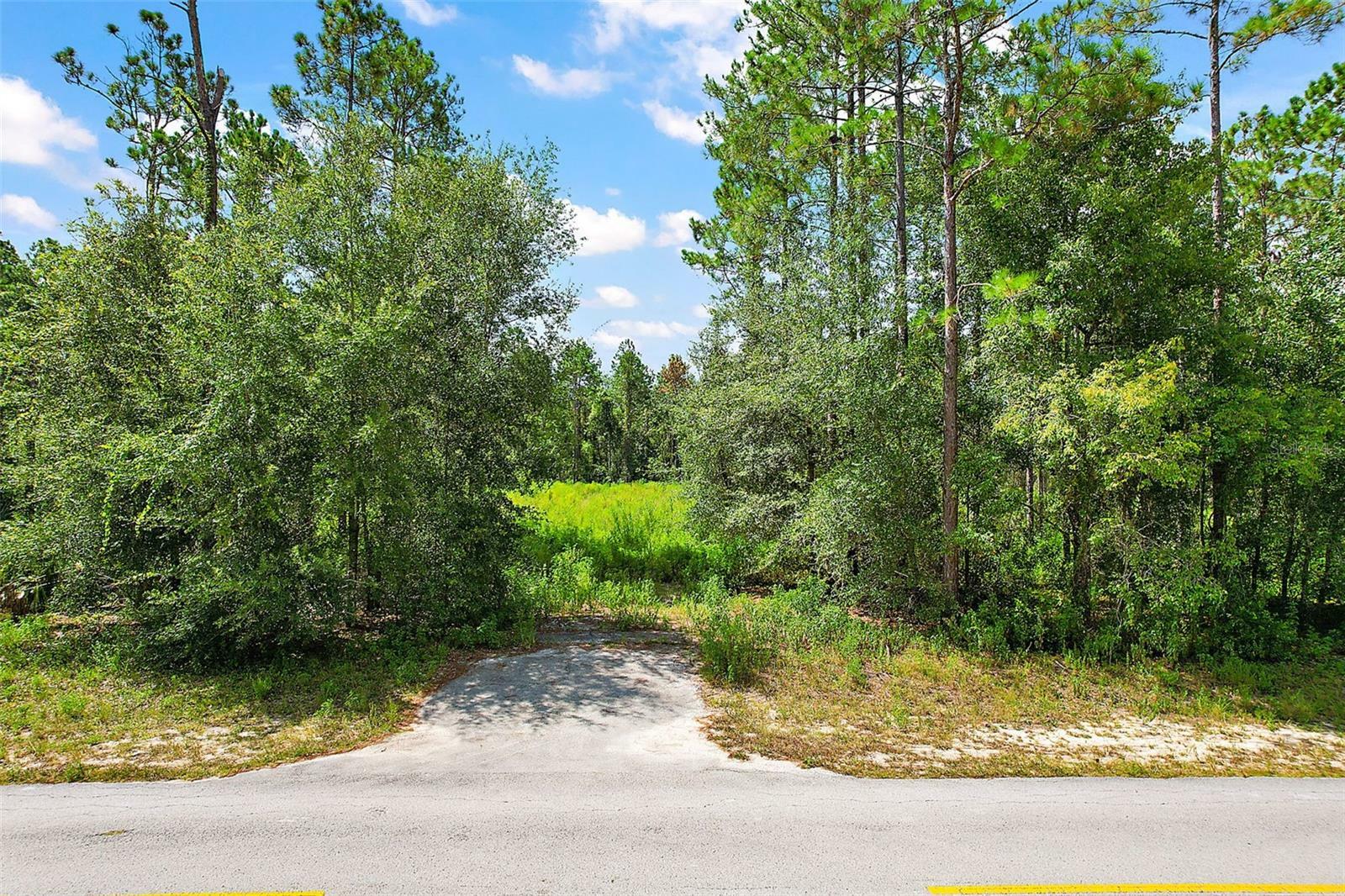 Property Photo:  000 Lake Seneca Road  FL 32736 