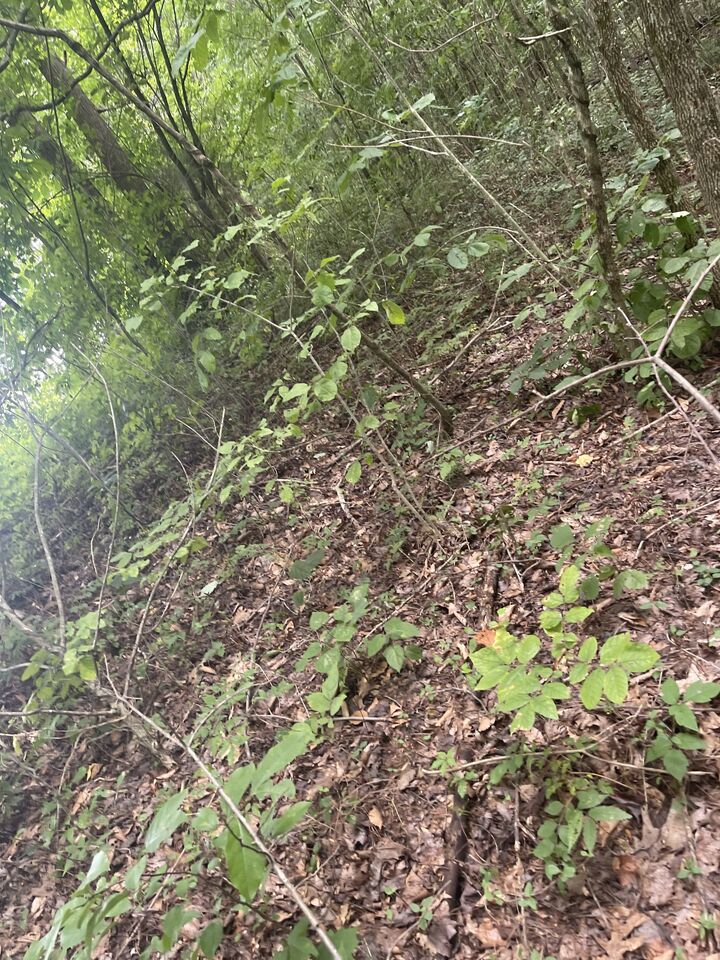 Property Photo: 0 Hwy 52 Bypass West W TN 37083