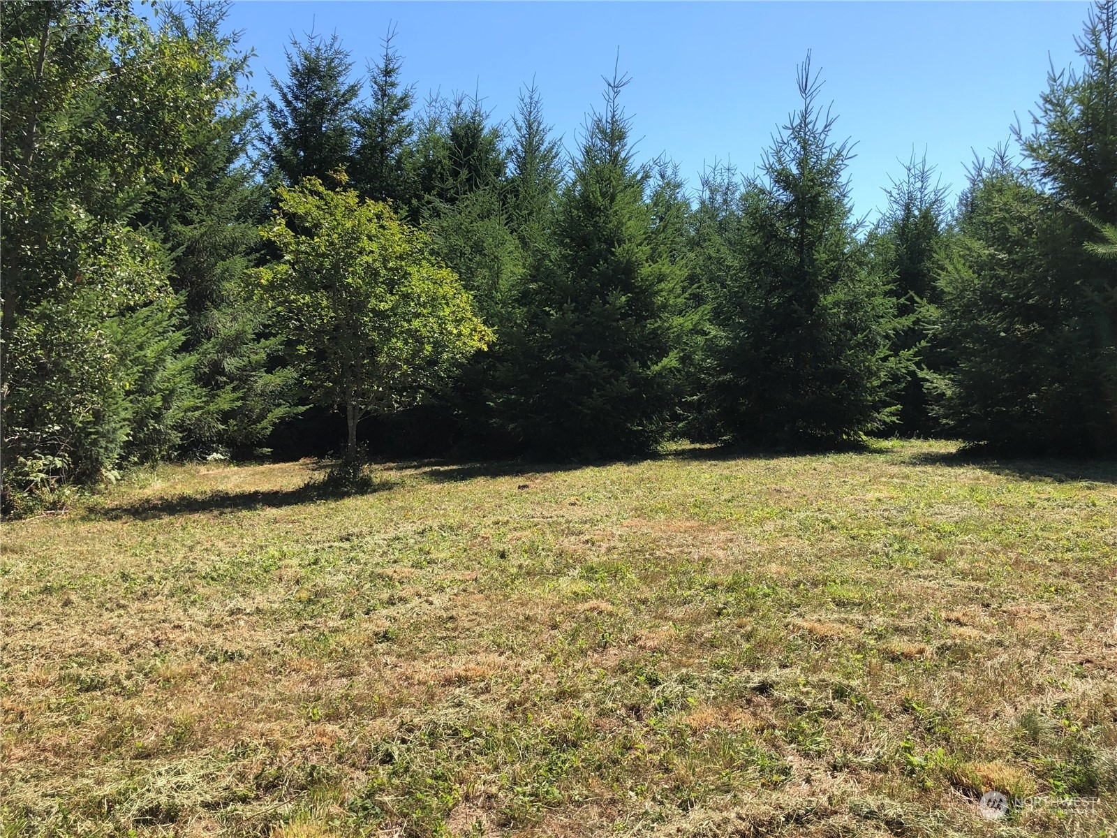 Property Photo: 3 Halliday Road WA 98531