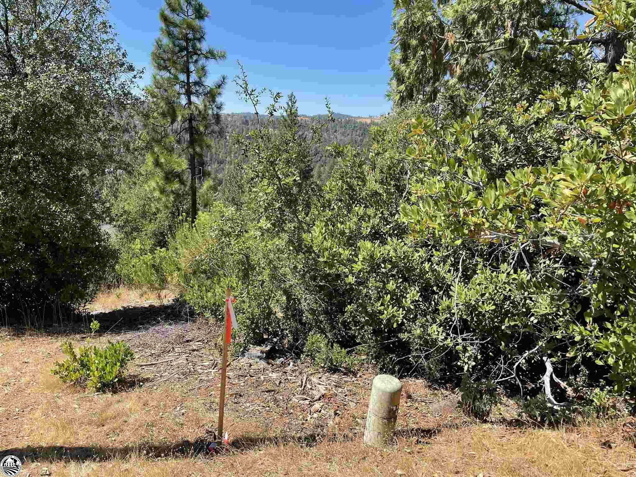 Property Photo:  Lot 76 Skyline Drive  CA 95379 