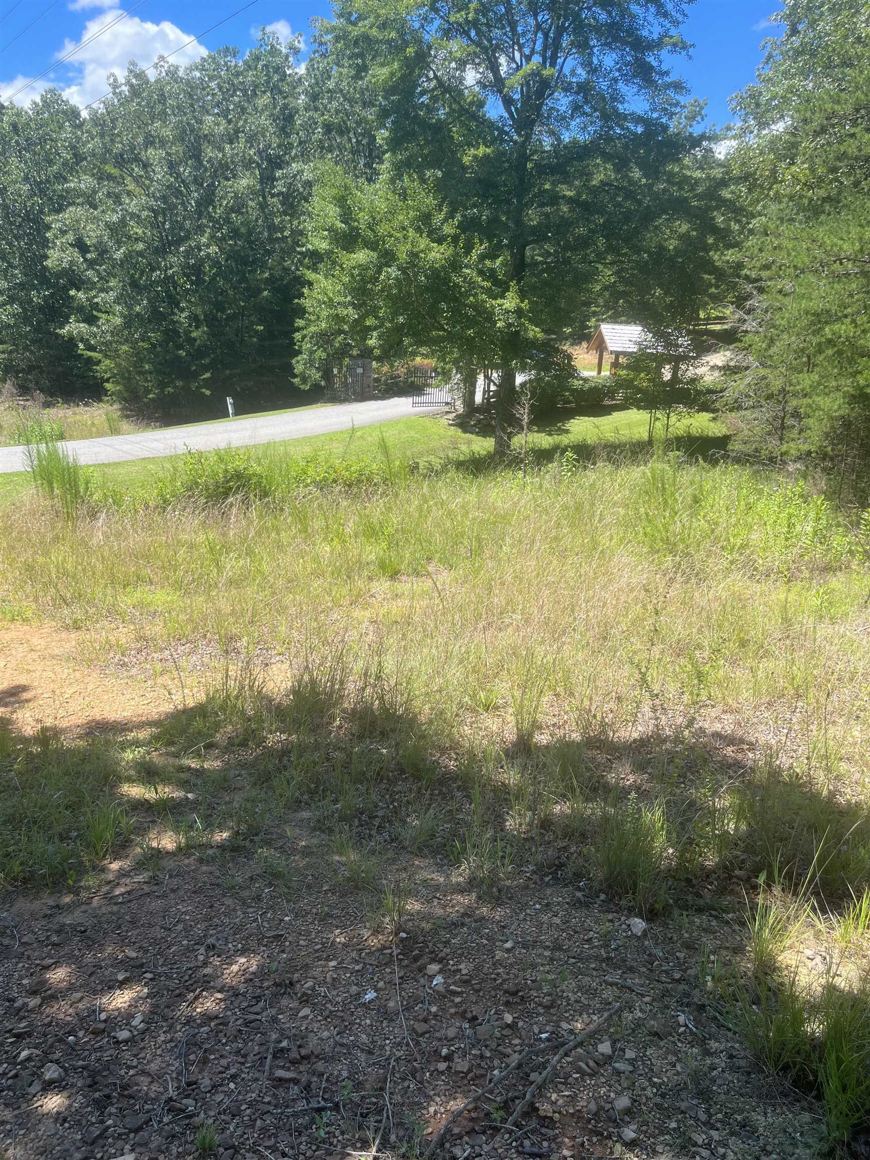 Property Photo: 0 Harbin Court Lot 1 GA 30560