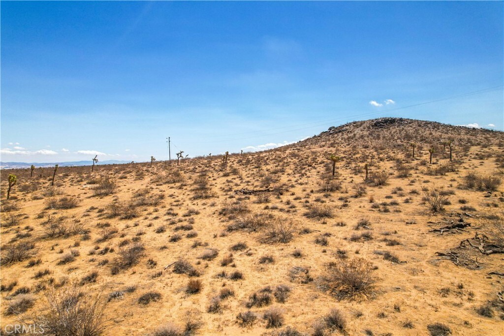 Property Photo:  58439 Reche Road  CA 92285 