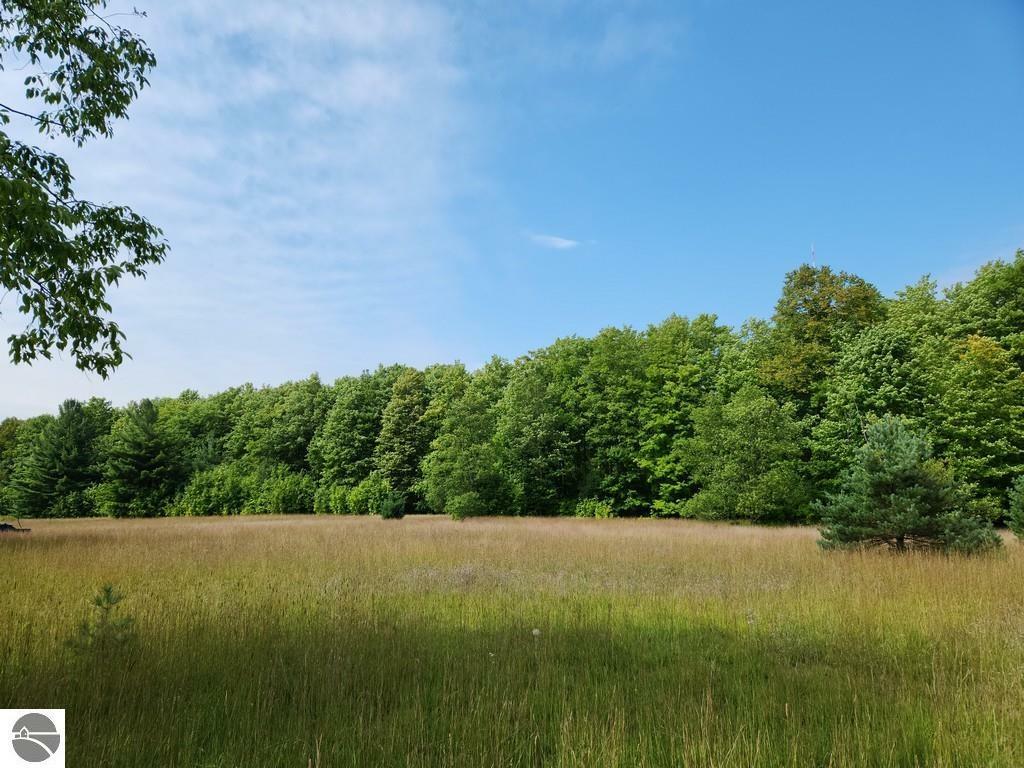 Off Crawford Lake Road  Kalkaska MI 49646 photo