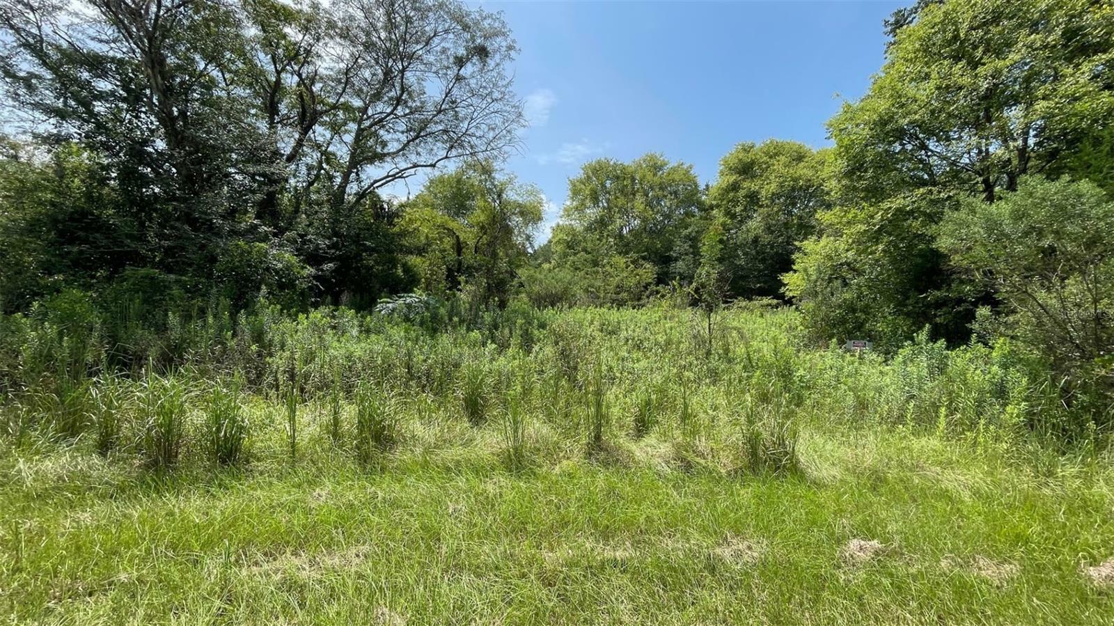 Property Photo:  00 SW Sedgefield Farms Glen  FL 32038 