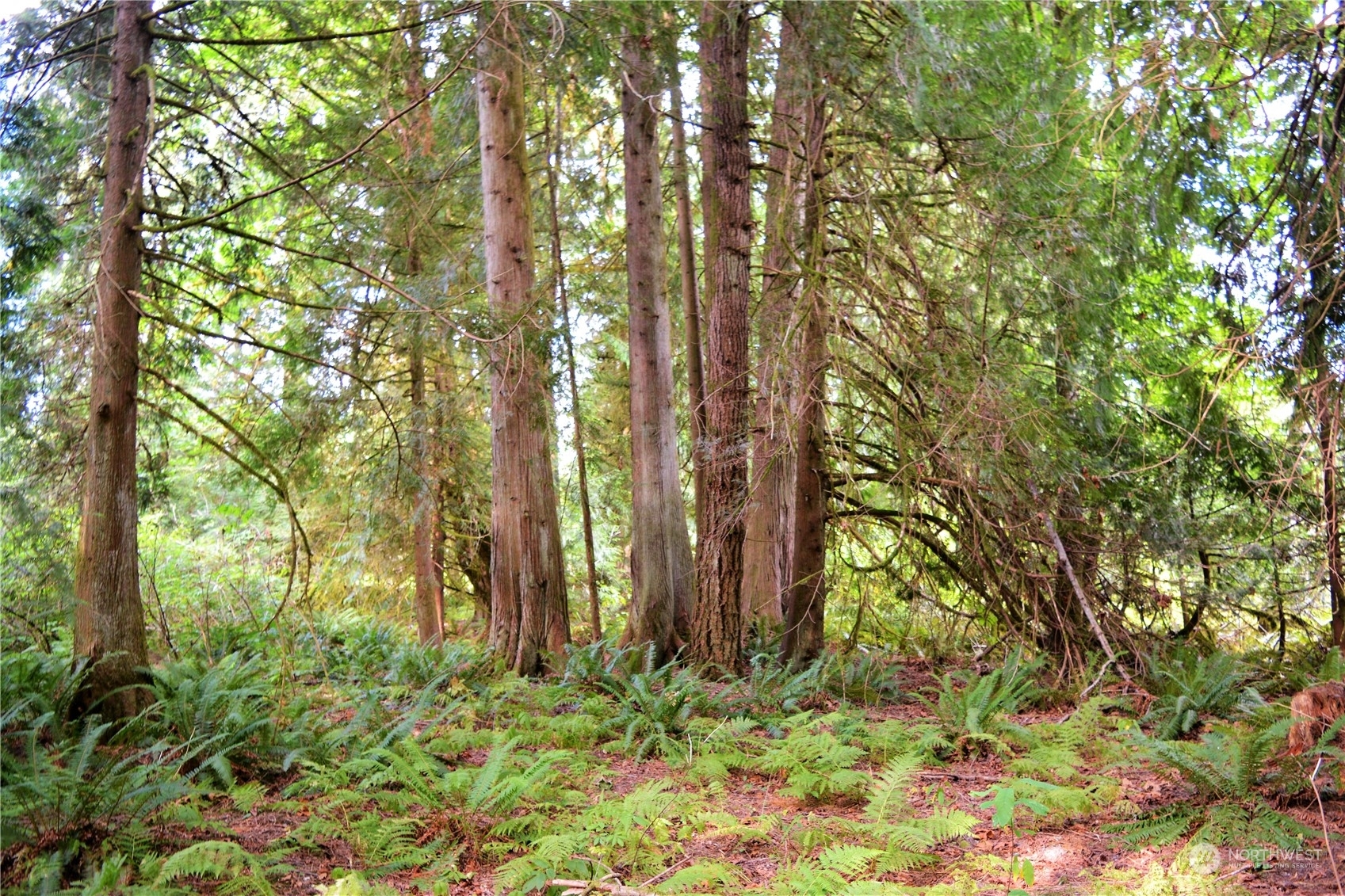 Property Photo: 51 Xx Galbraith Road WA 98244