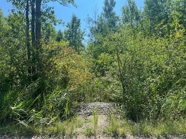 Property Photo:  Vacant Land Arkona  Road  MI 48164 