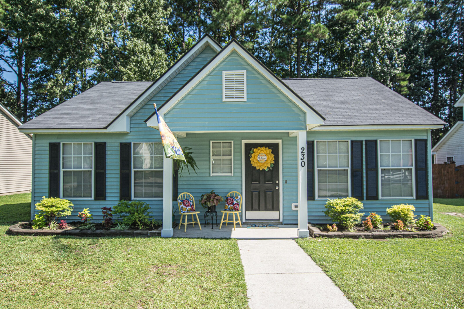Property Photo:  230 Birmingham Drive  SC 29486 