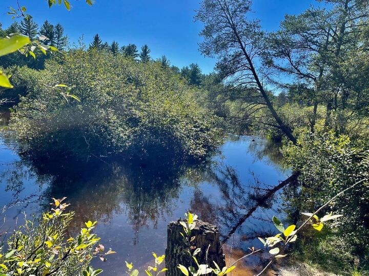 Ausable River Trail  Roscommon MI 48653 photo