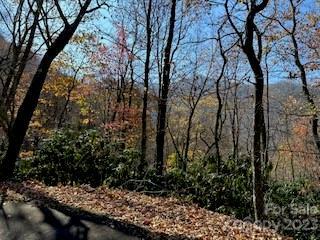 Property Photo:  20 Tsalagi Trail  NC 28751 