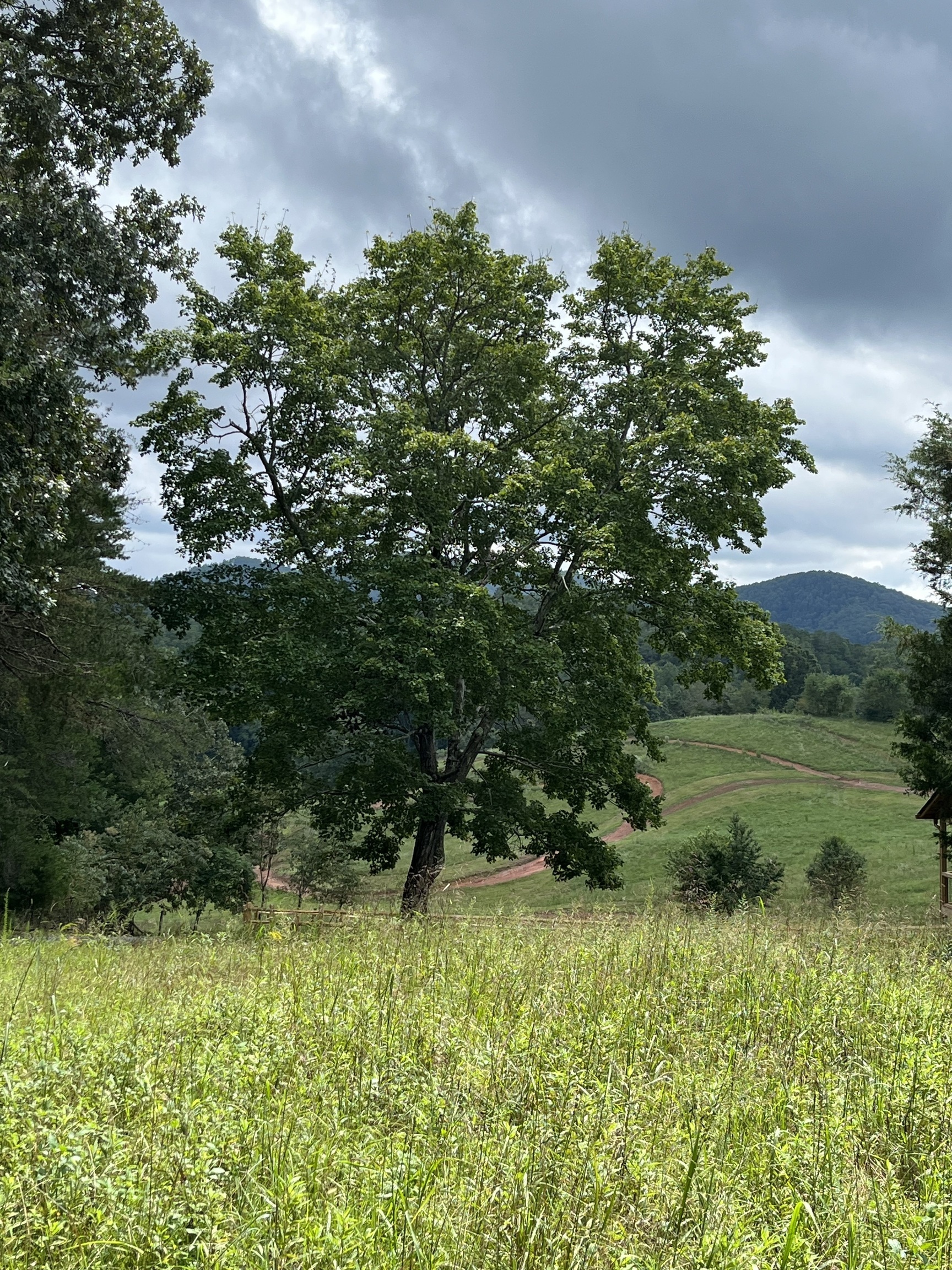 Property Photo:  0 Mountain Road  GA 30560 