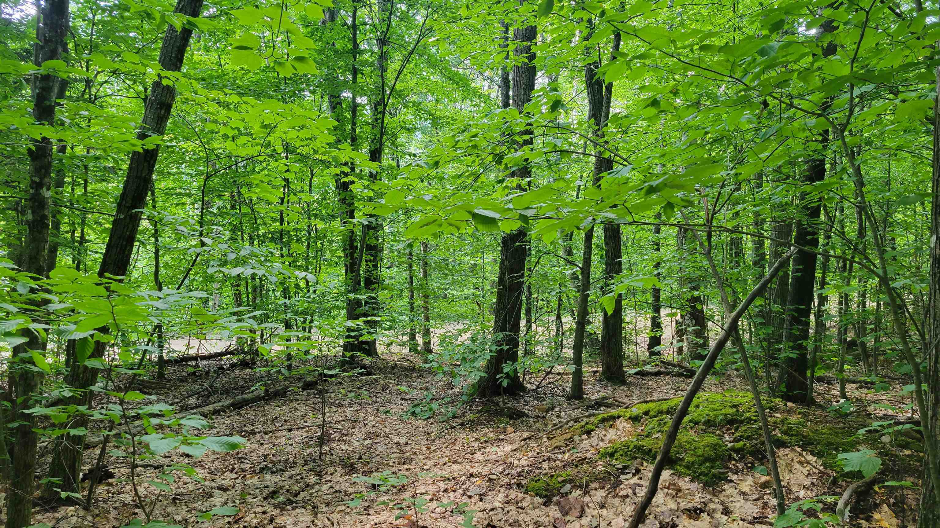 Property Photo: 11-1-7 David Thompson Drive NH 03223