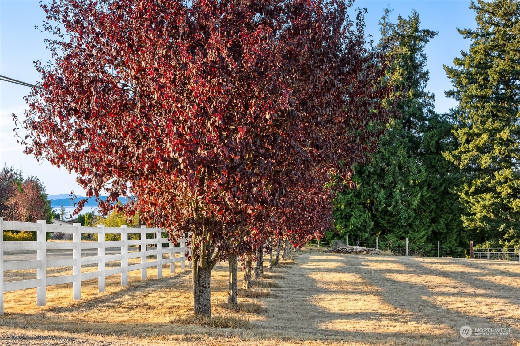 Property Photo: 221 Baker View Lane WA 98282