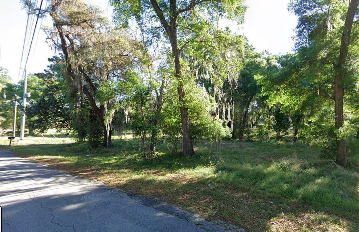 Property Photo:  19500 Old Trilby Road  FL 33523 