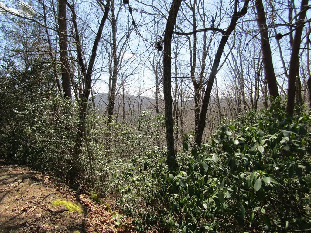 Property Photo:  Lot 27 Mission Ridge  NC 28904 
