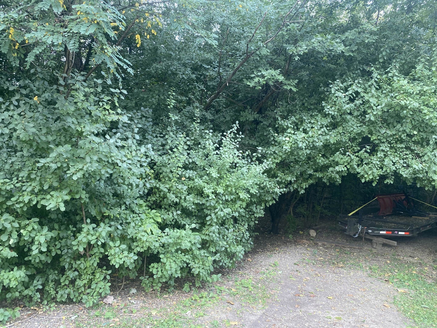Property Photo: Lot 3 W Armitage Street IL 60148