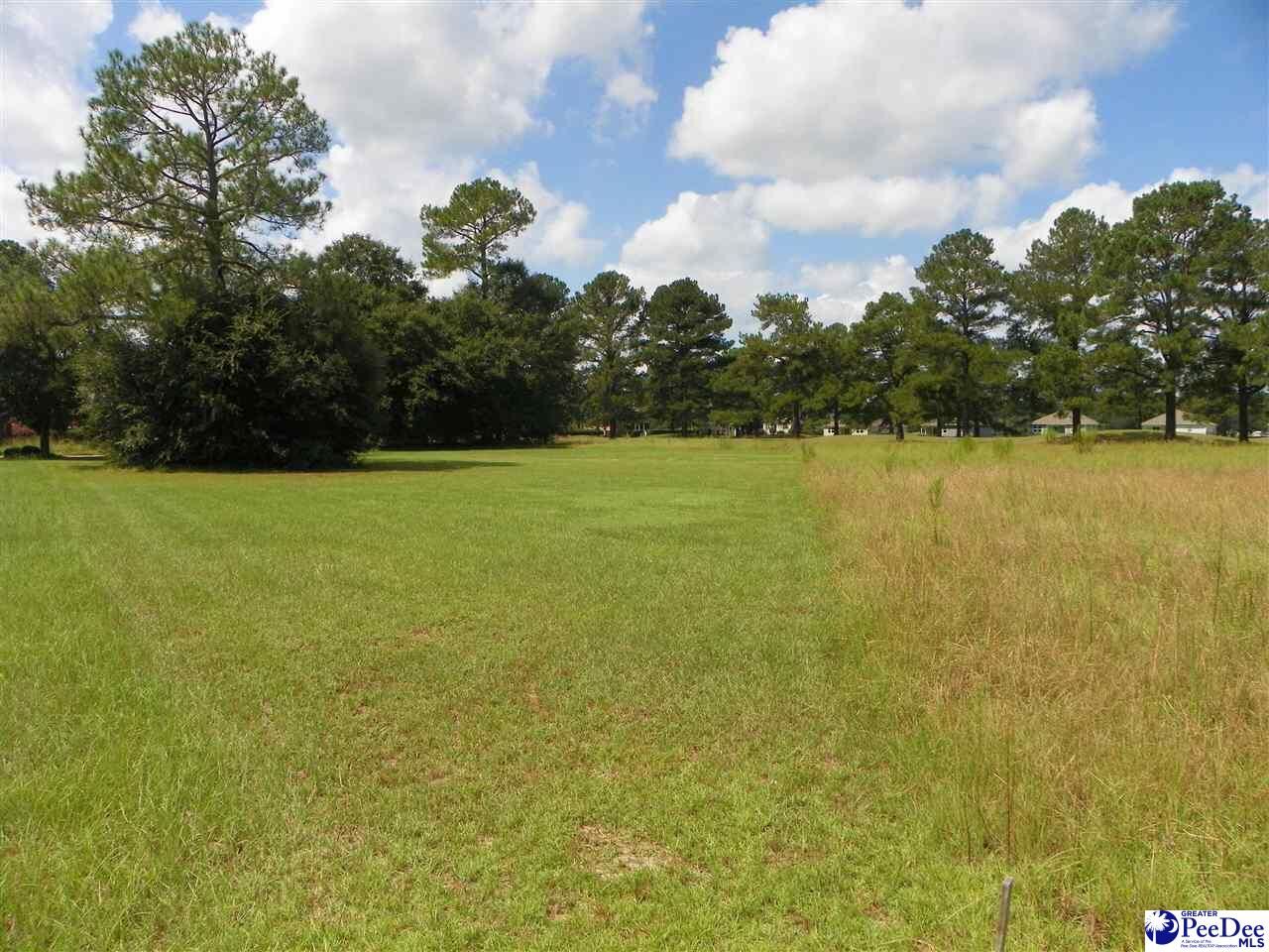 Property Photo: 2320 Sunvue Drive SC 29506