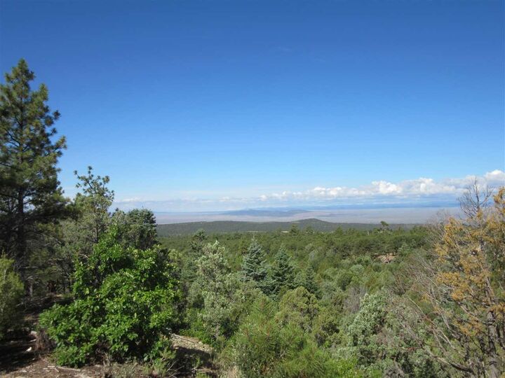 Property Photo: Dh Lawrence Road NM 87564