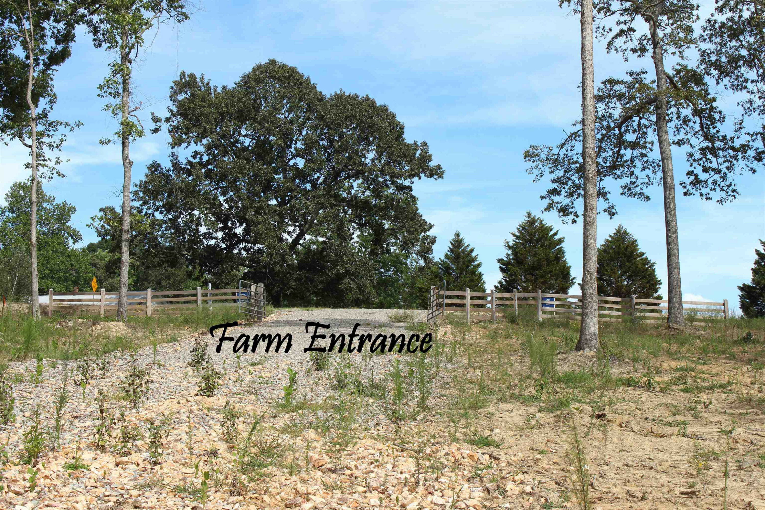 Property Photo: 0 Brooksie Thompson Road TN 38311