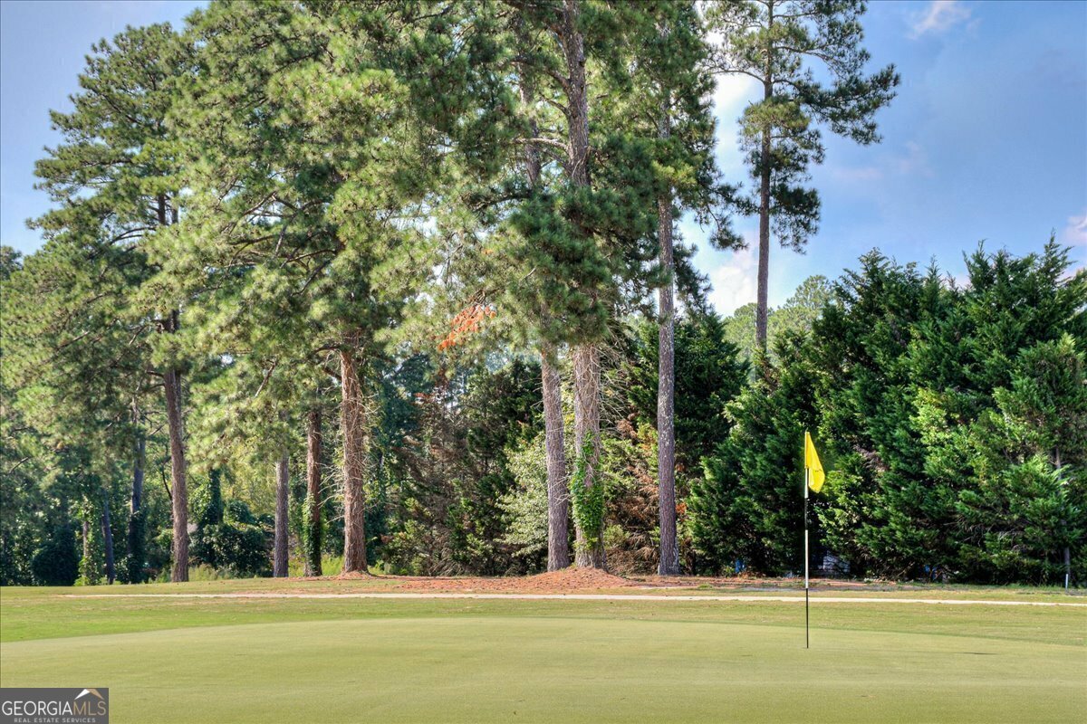 Property Photo: 253 S Lake Drive GA 30824