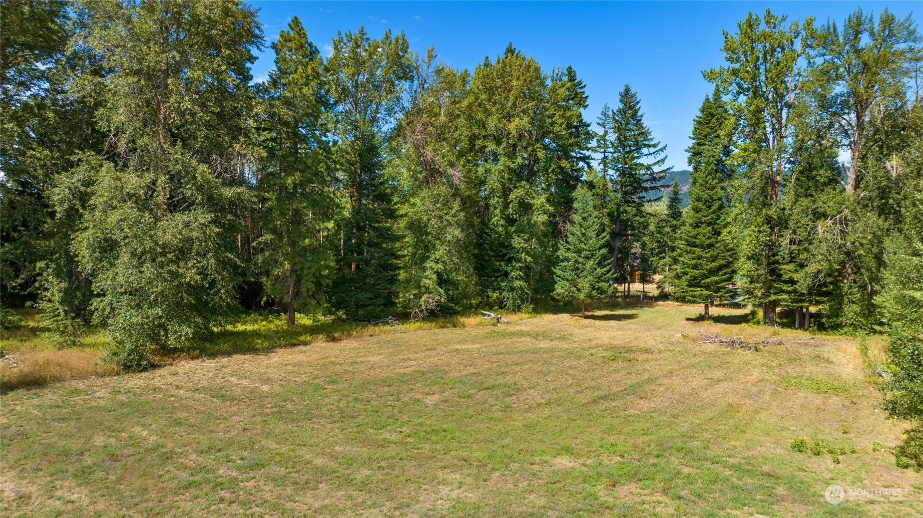 Property Photo:  0 Lot 1 Big Creek Road  WA 98922 