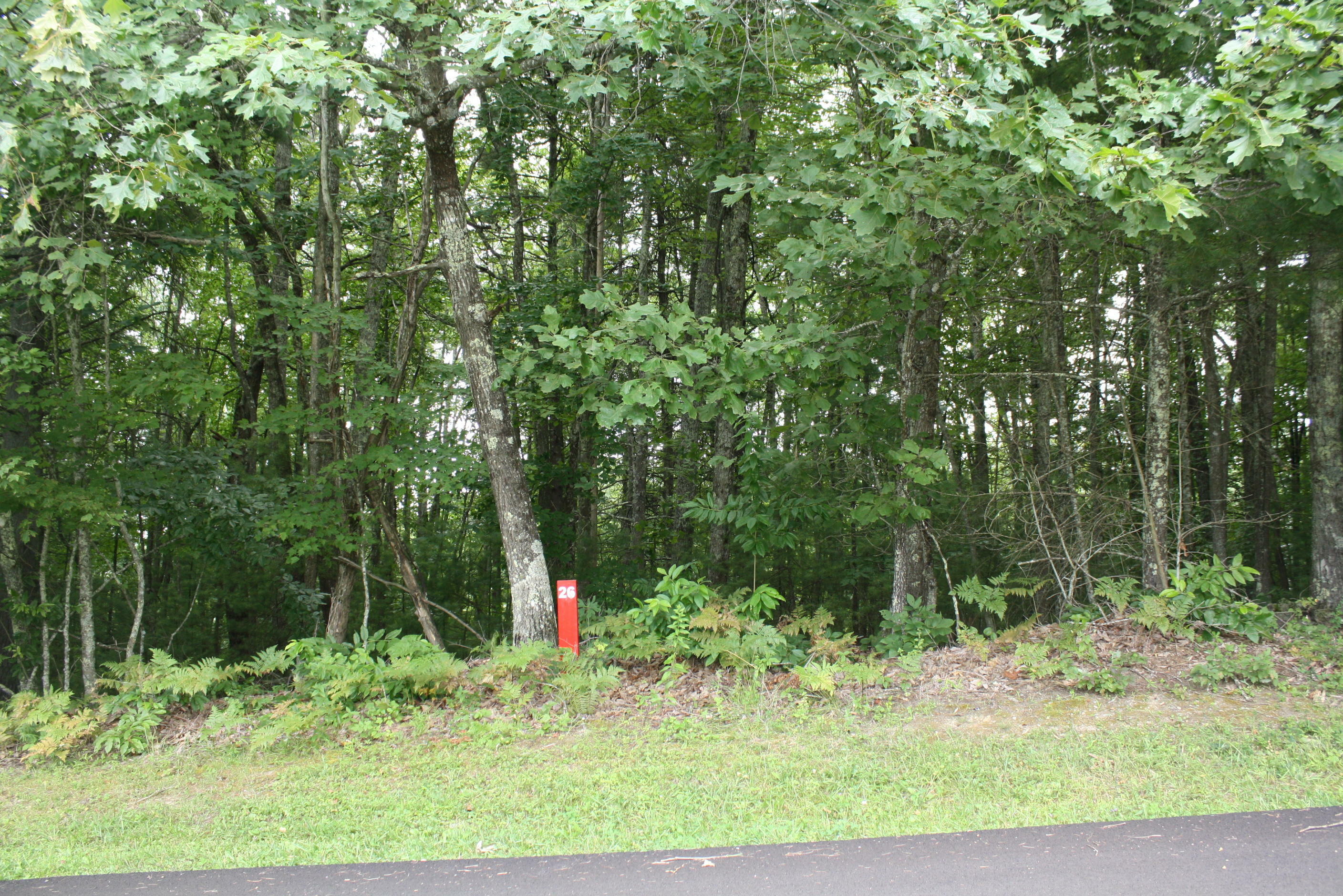 Property Photo:  Lot 26 Old St Clair Road Pipestem Pointe  WV 25979 