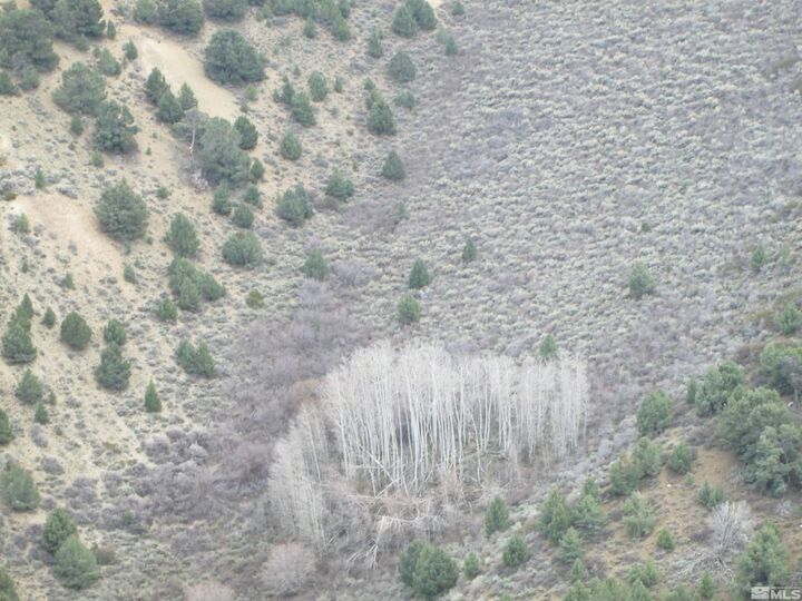 Property Photo: 00430124 Mount Davidson NV 89440