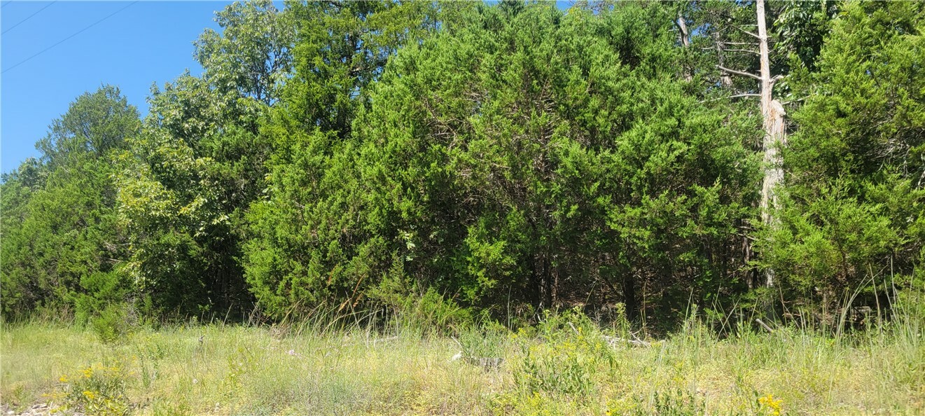 Property Photo:  10 Lakeview Drive  AR 72631 