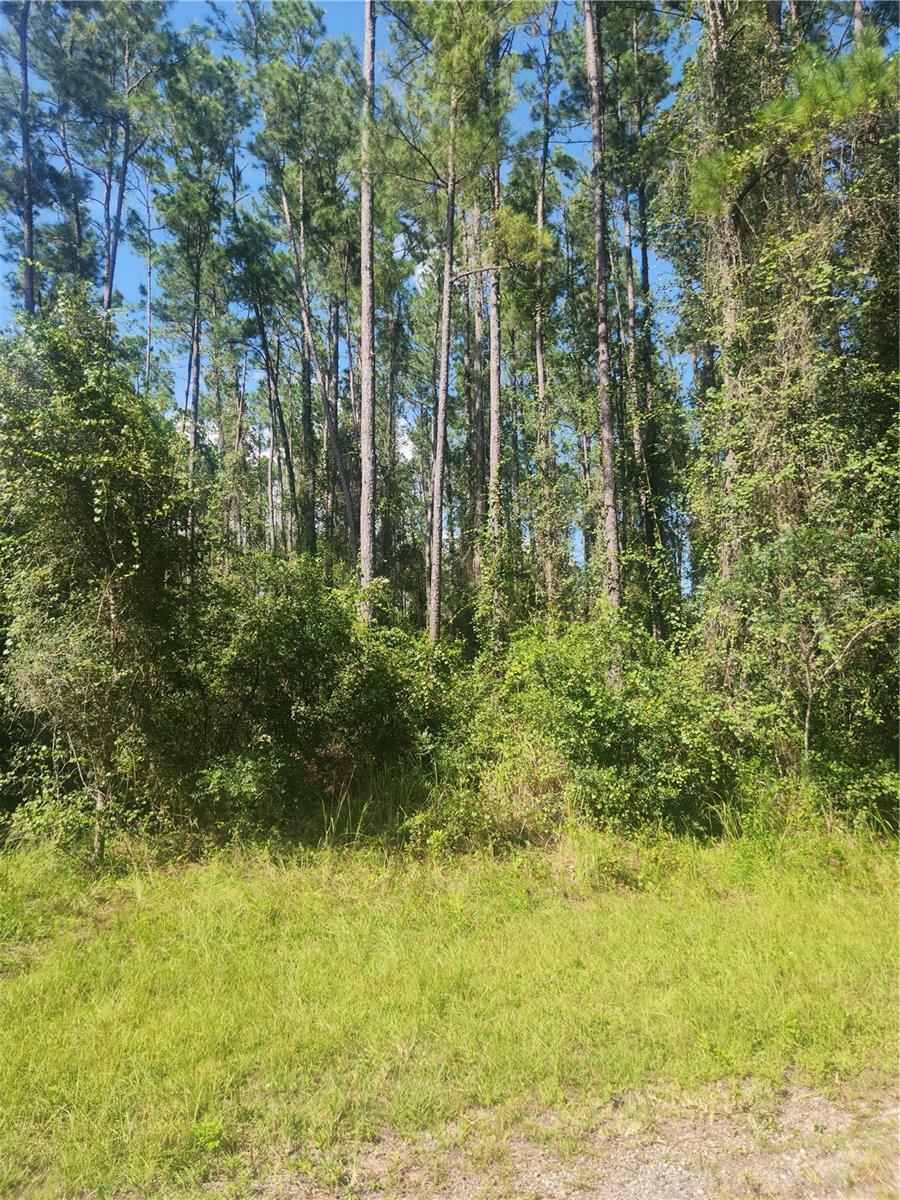 Property Photo:  1091 E Toledo Drive  FL 34434 