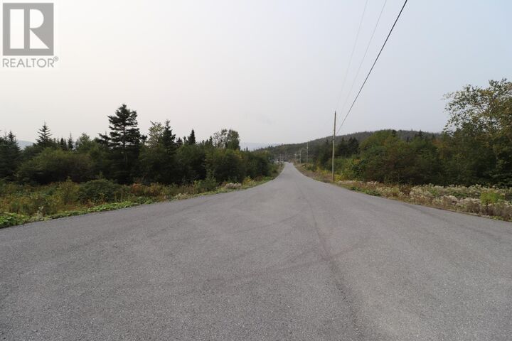 Property Photo:  9 Hollands Memorial Drive  NL A0K 3V0 