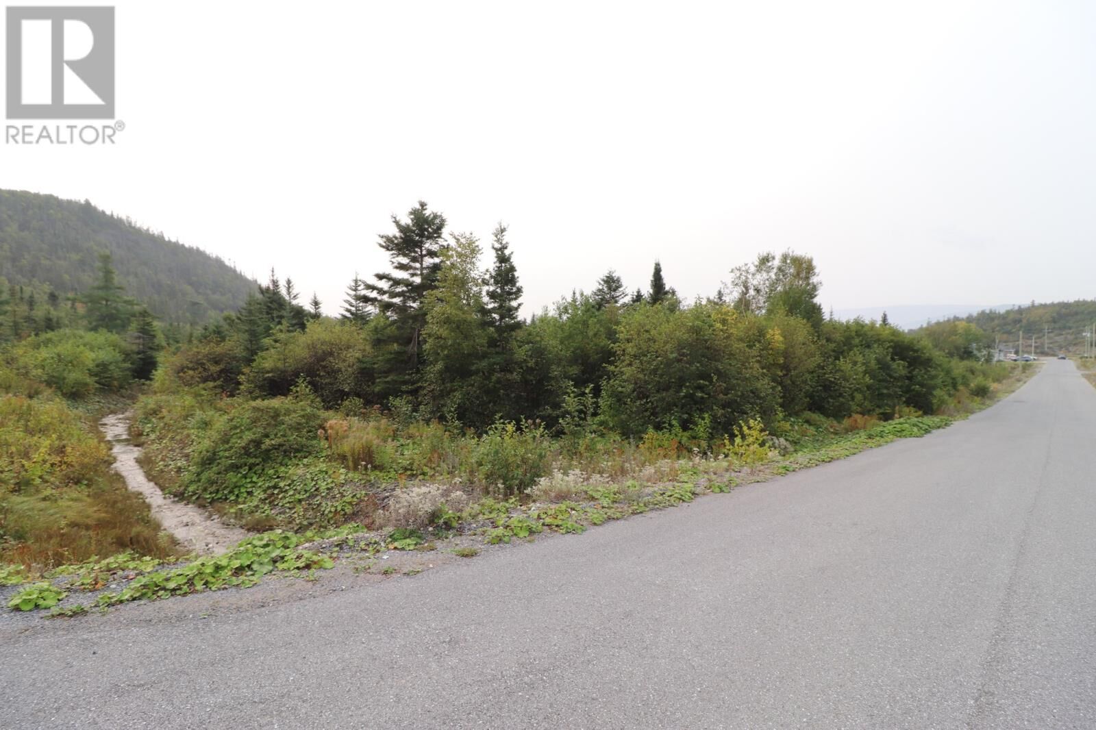 Property Photo:  14 Hollands Memorial Drive  NL A0K 3V0 