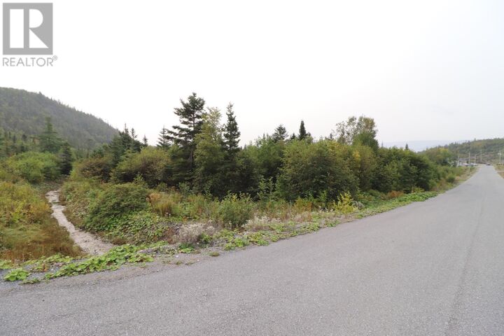 Property Photo:  10 Hollands Memorial Drive  NL A0K 3V0 