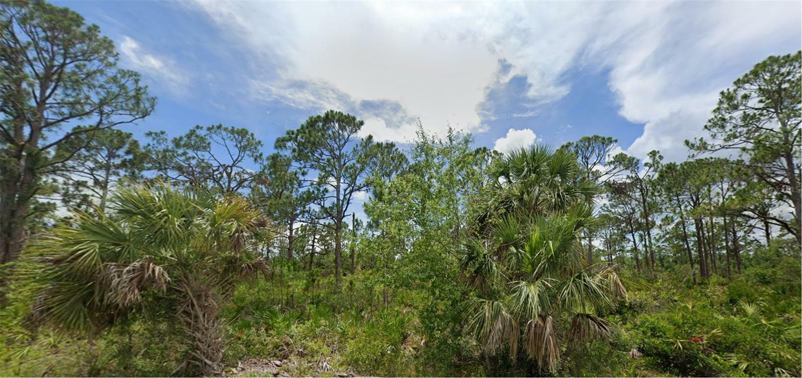 Property Photo:  2505 Hoover Street  FL 33953 