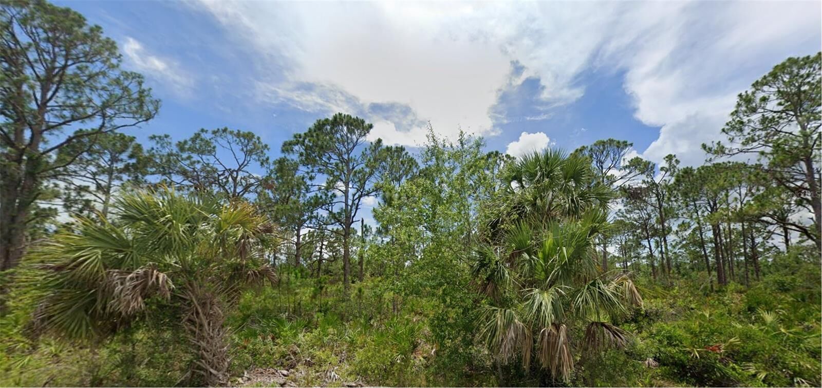Property Photo:  2505 Hoover Street  FL 33953