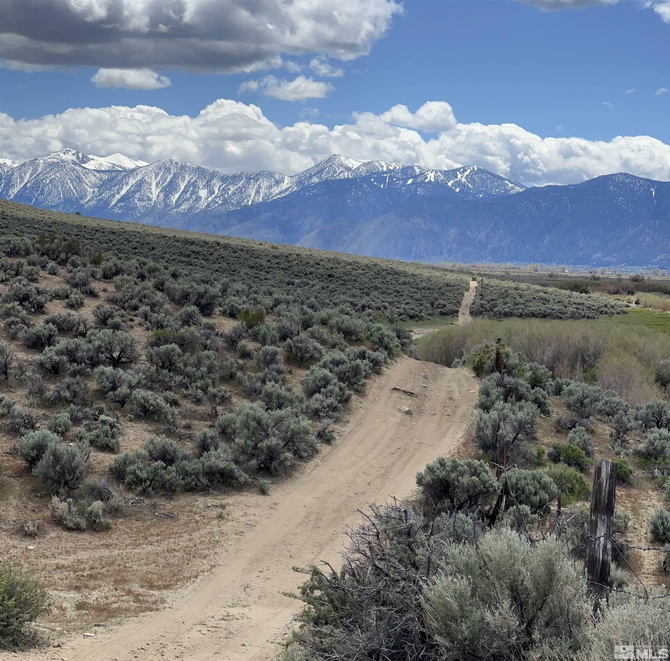 Property Photo: Apn 010281 Vicky Lane/Jeep Trail NV 89701
