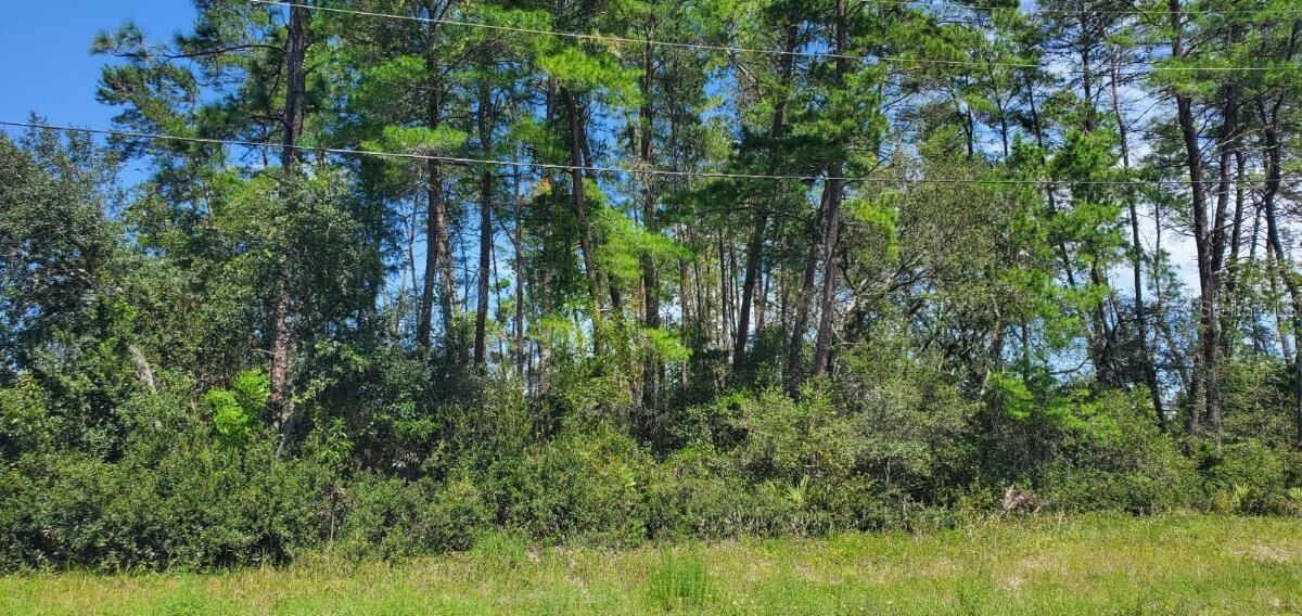 Property Photo:  0 SW 171 Place  FL 34473 
