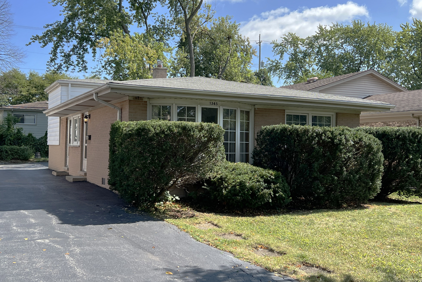 Property Photo:  1345 S Evergreen Avenue  IL 60005 