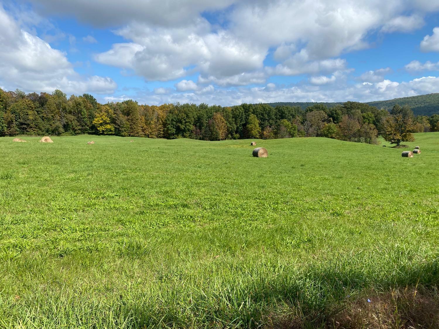 Property Photo: 0 Van Buskirk Gulf Road NY 14867