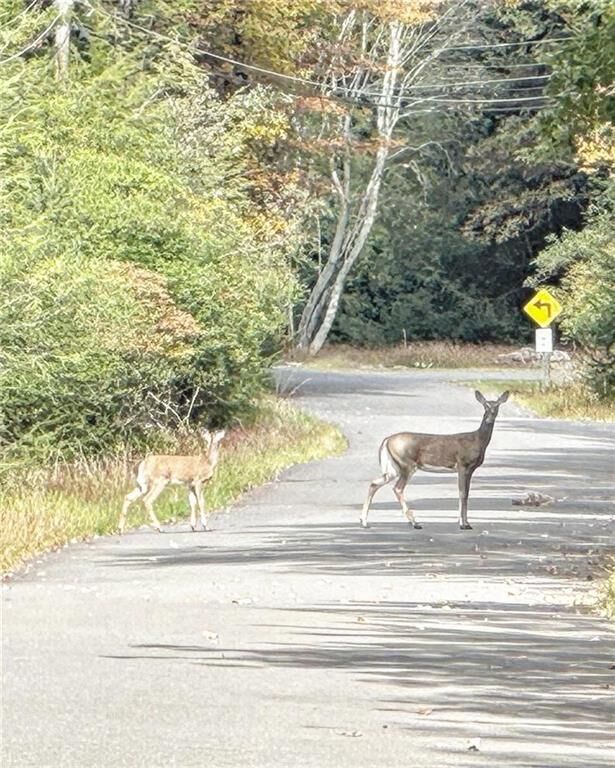 Property Photo:  Bear Creek Lake Drive  PA 18229 